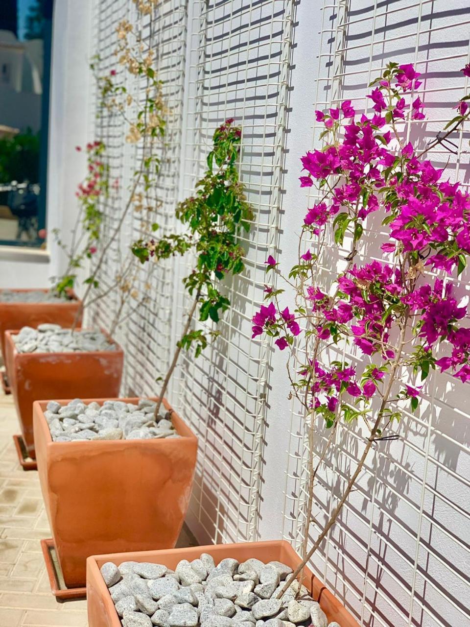 阿尔沃尔 Casa Penina酒店 外观 照片